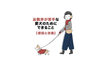 【ペット】お散歩が苦手な愛犬のためにできること【原因と改善】